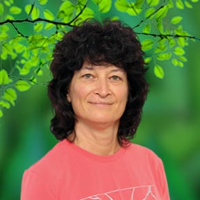 Дияна Сейрекова